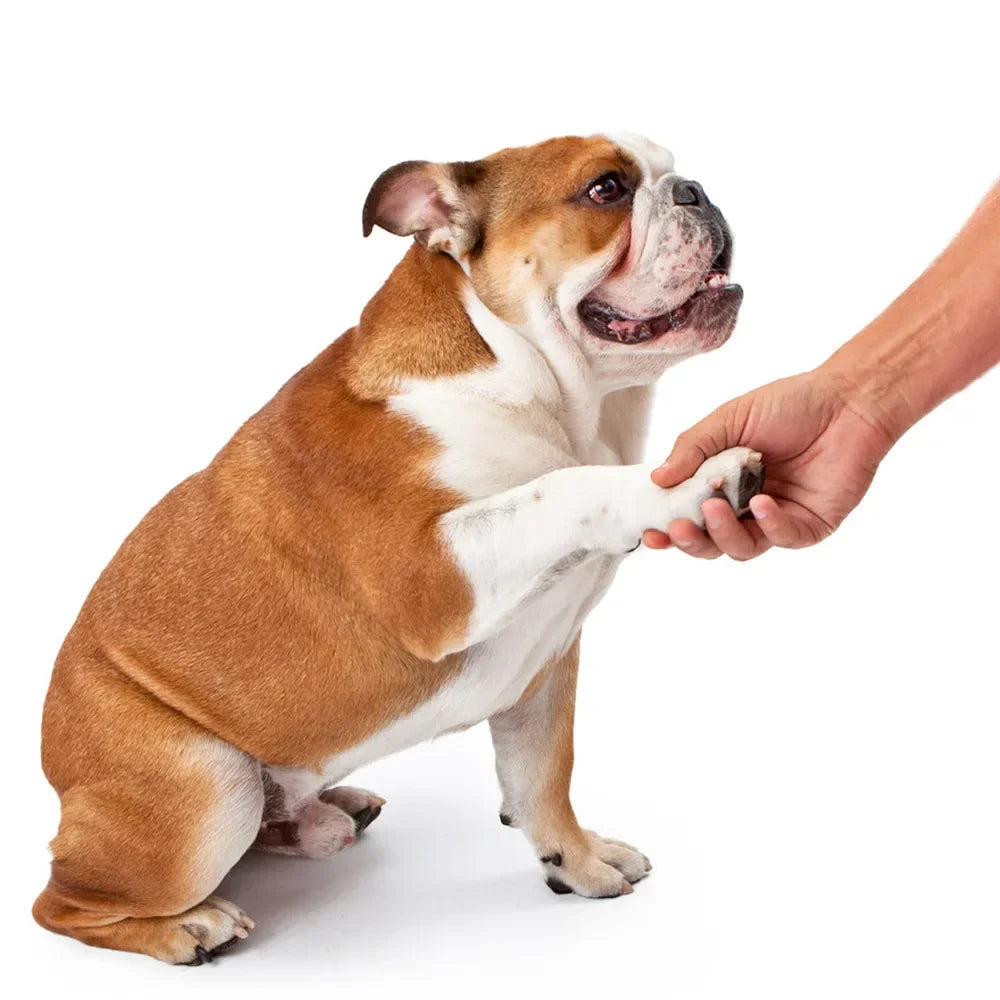 Pet Paw Cleaner Soft Silicone