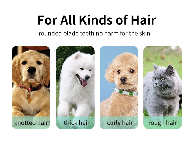Pet grooming hospital for cats and dogs