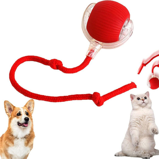 Cat Ball Automatic Rolling Toy