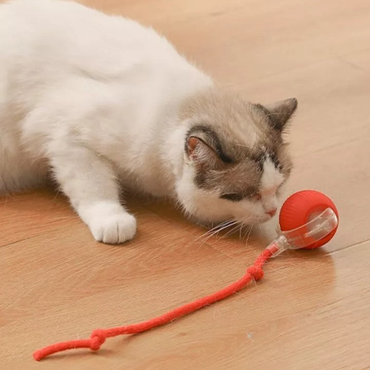 Cat Ball Automatic Rolling Toy
