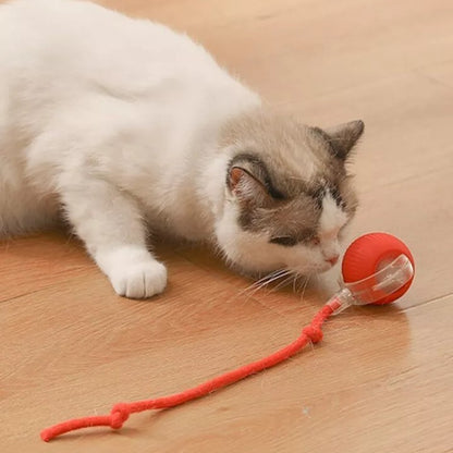 Cat Ball Automatic Rolling Toy