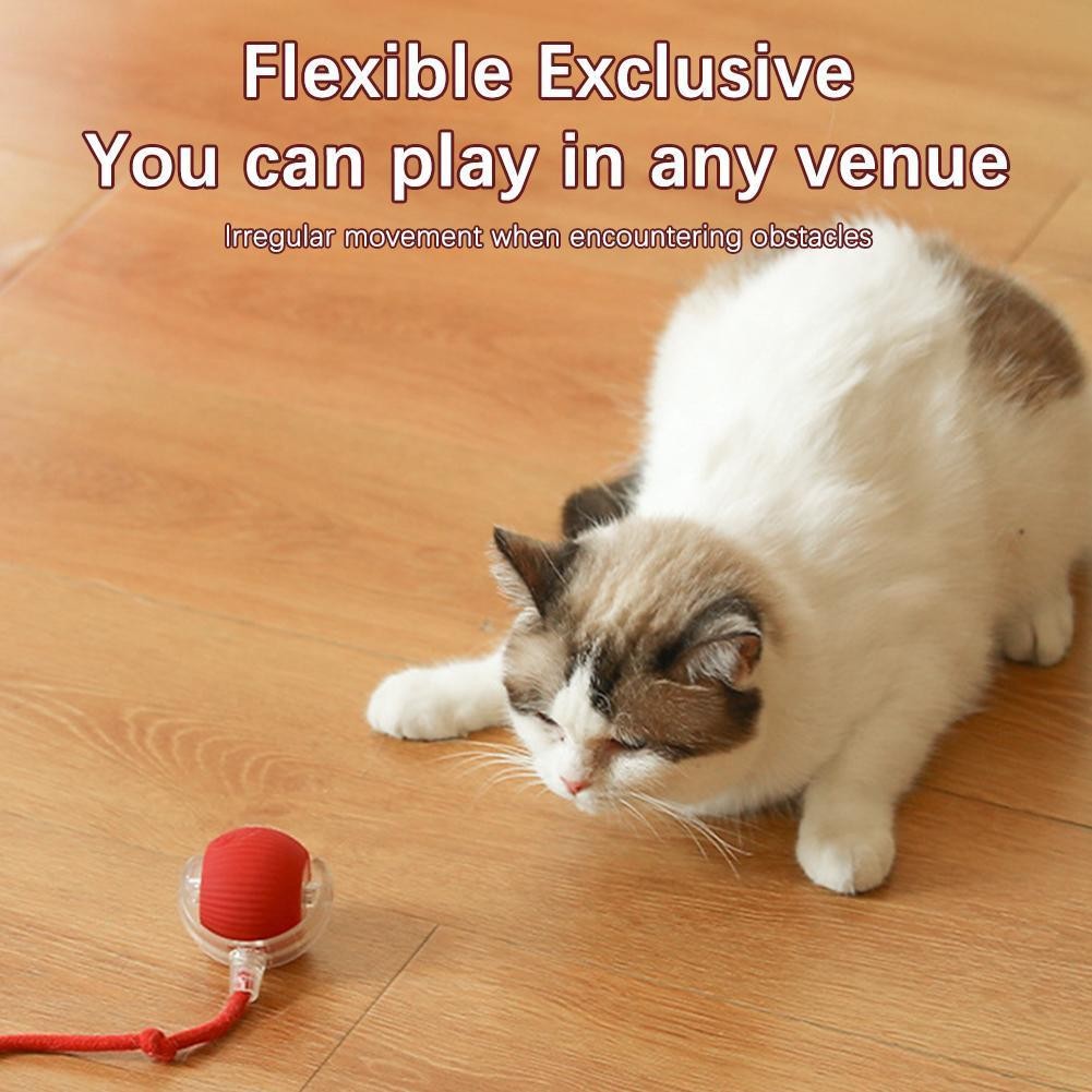 Cat Ball Automatic Rolling Toy