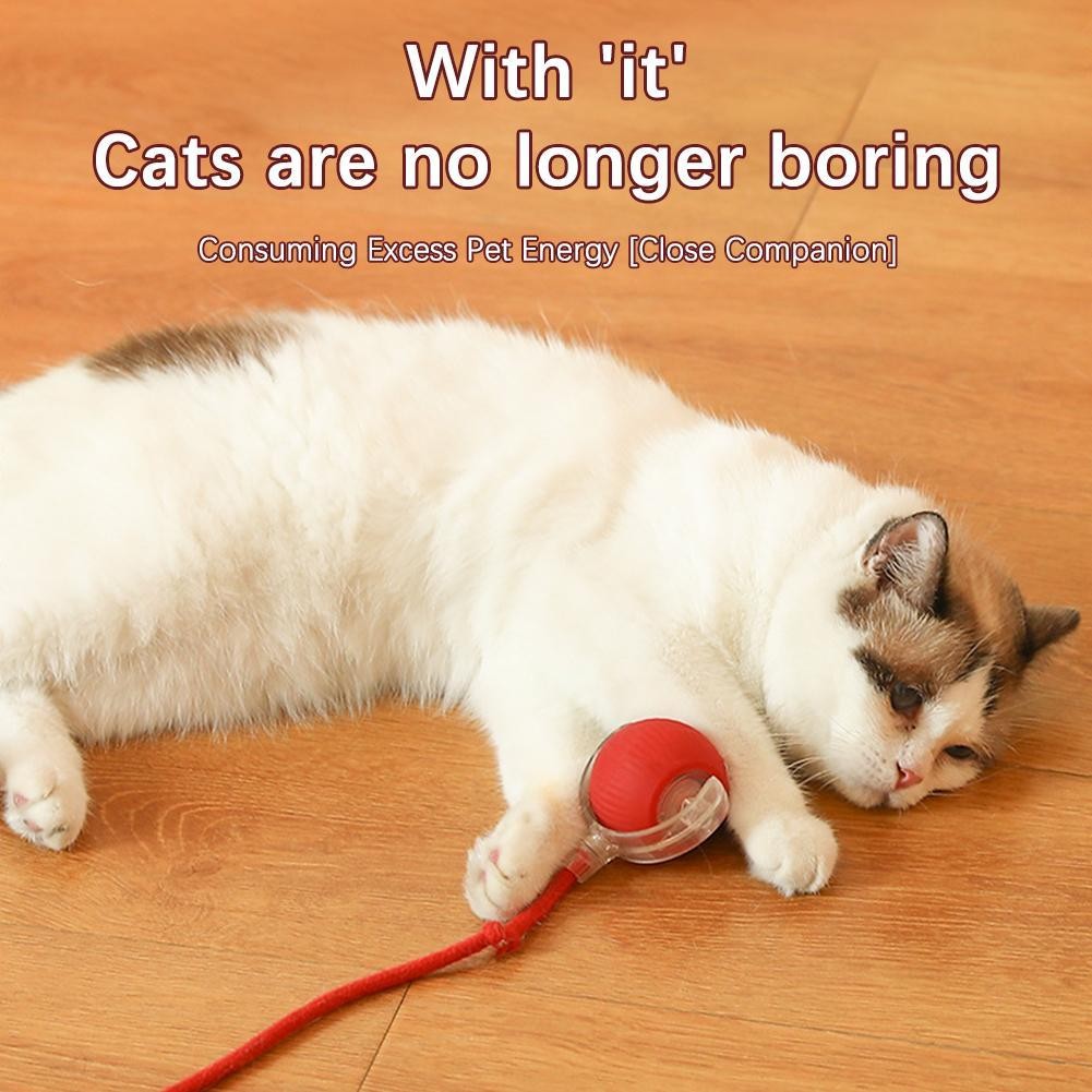Cat Ball Automatic Rolling Toy