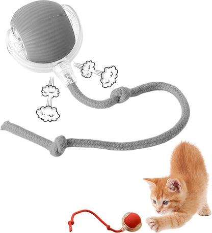 Cat Ball Automatic Rolling Toy